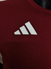 Algérie maillot concept 2023/2024