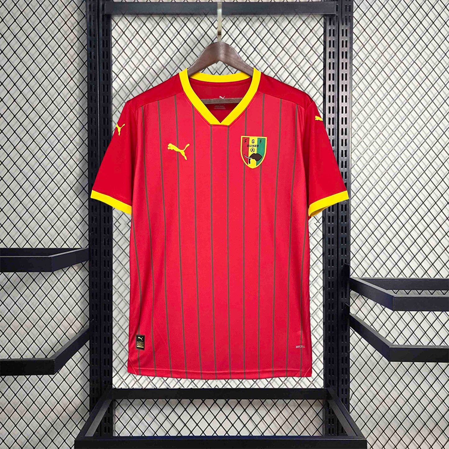 Maillot Guinée 2024 Domicile