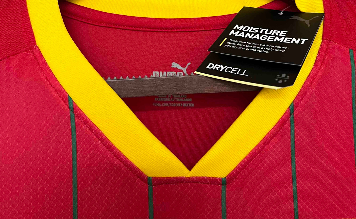 Maillot Guinée 2024 Domicile