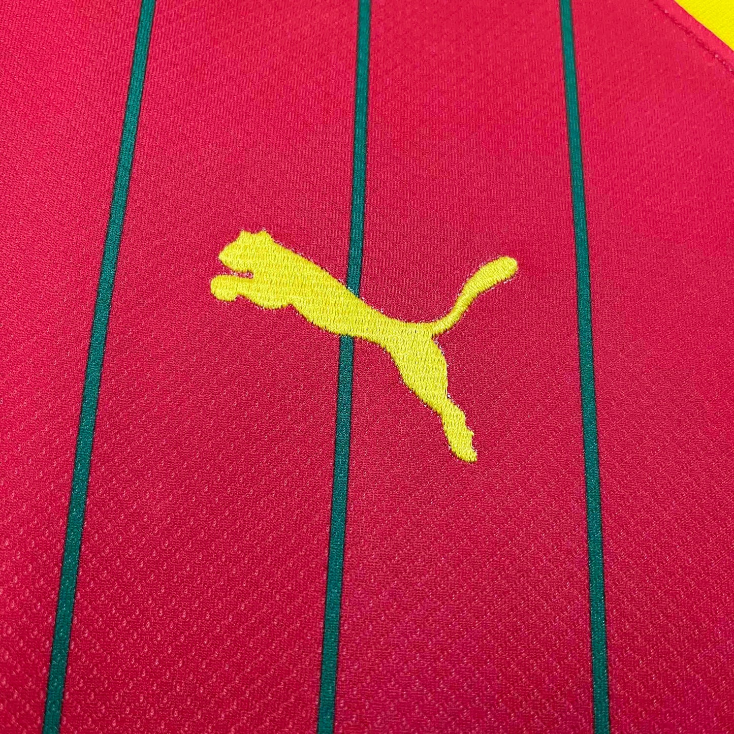 Maillot Guinée 2024 Domicile