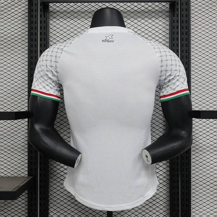 Palestine maillot concept 2024/2025
