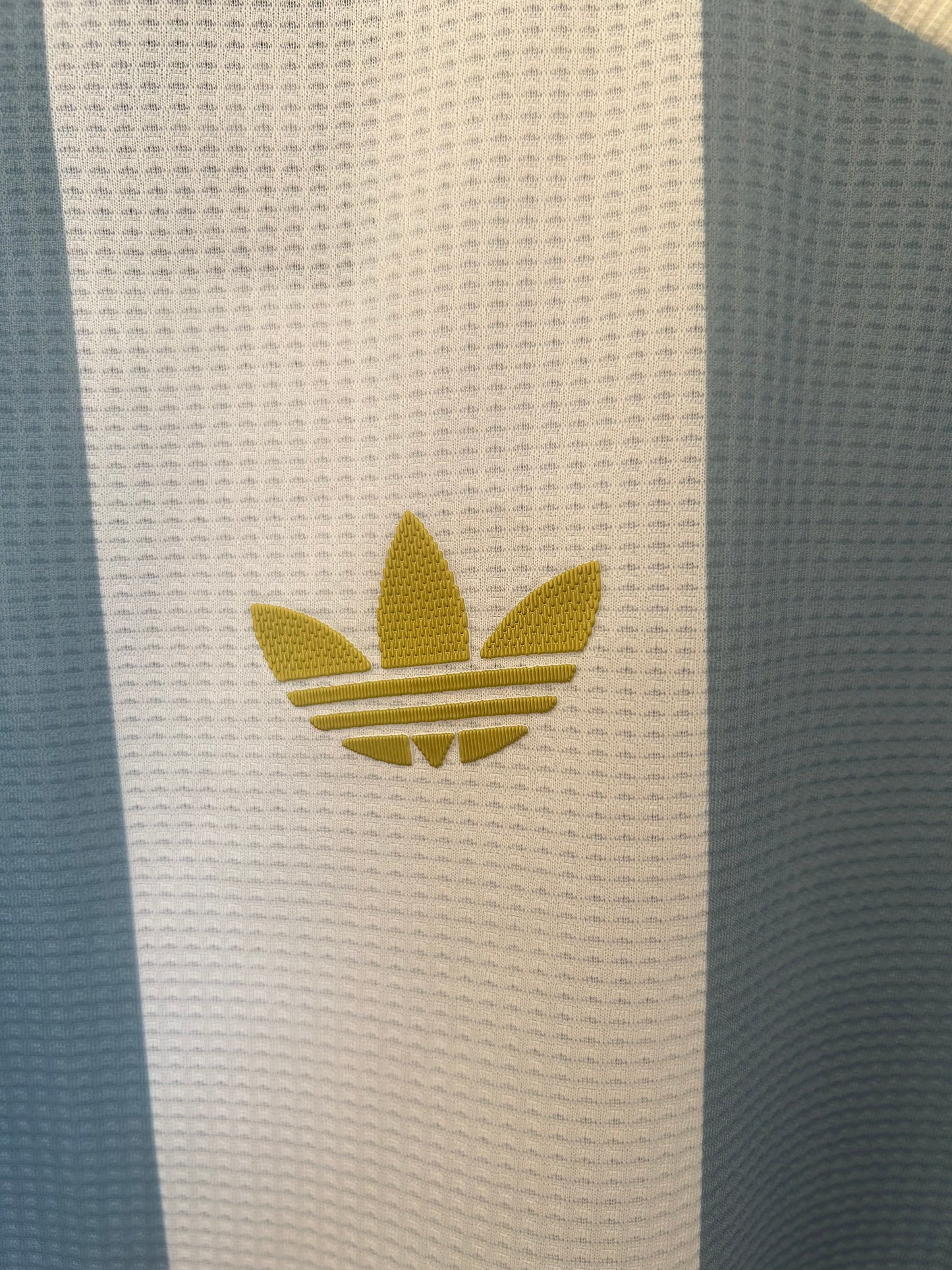 Argentine maillot concept Commémorative du 50e anniversaire