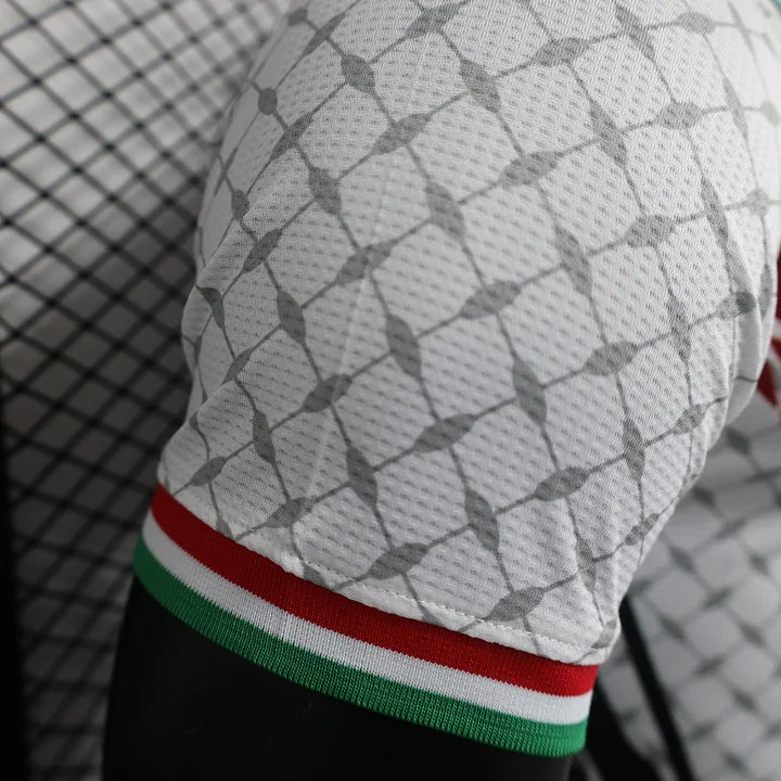 Palestine maillot concept 2024/2025