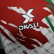 Palestine maillot concept 2024/2025
